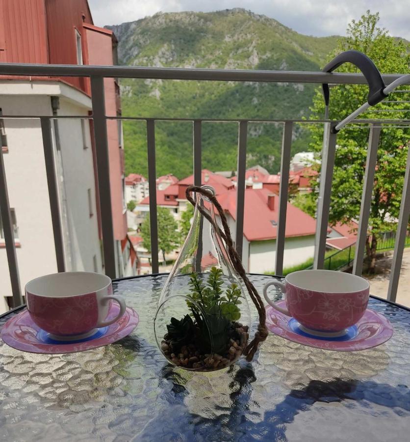 Apartman Andjela Plužine Extérieur photo